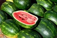 melon.webp